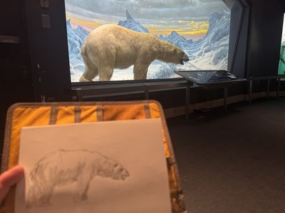 What To Draw During a Heat Wave