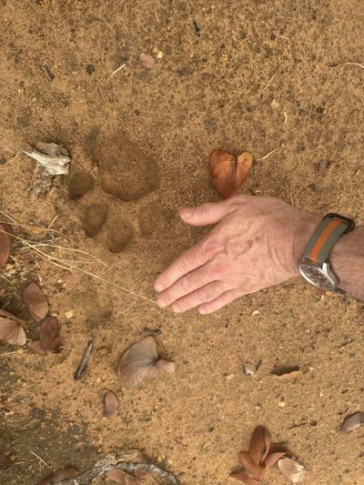 Be Careful Of Your Metaphors